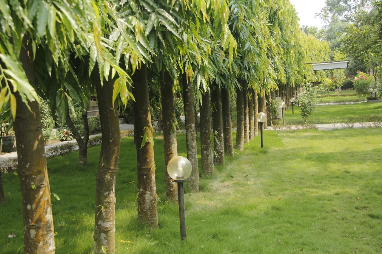 Rhino Land Jungle Lodge Саураха Экстерьер фото